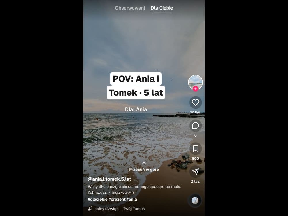 Podgląd szablonu Lovtok